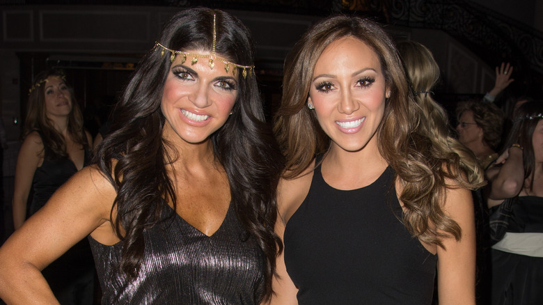 Teresa Giudice, Melissa Gorga, 2013 photo together 