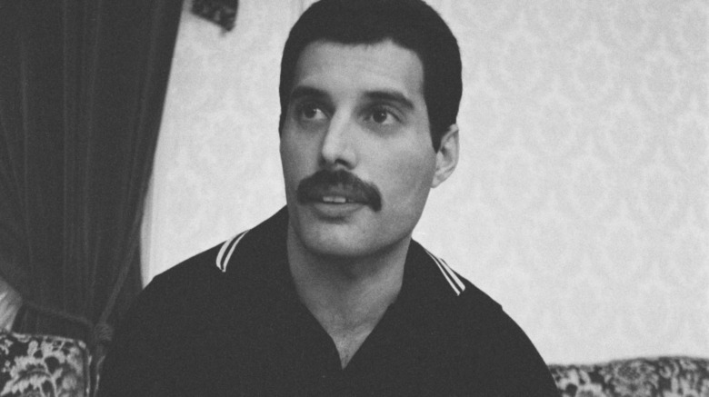 Freddie Mercury in an interview