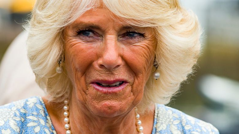 Camilla Bowles in 2018