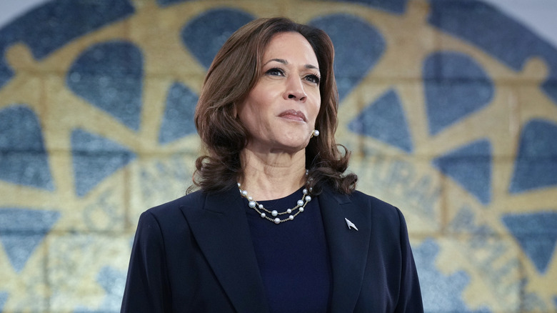 Kamala Harris delivering a speech in 2024