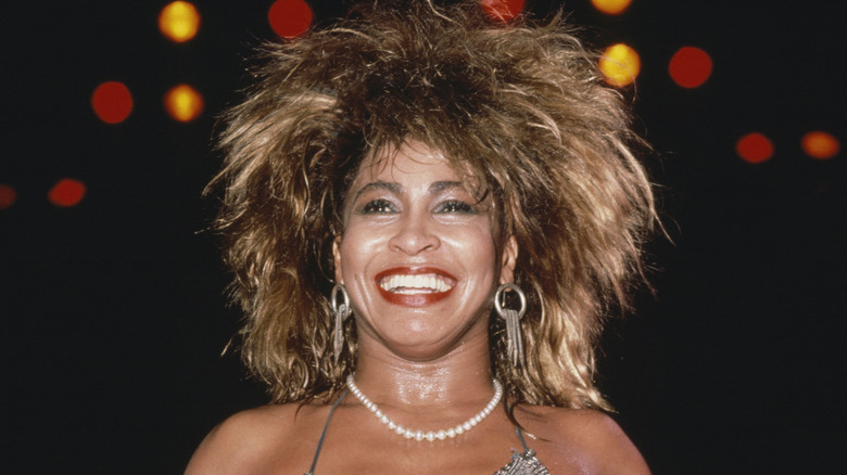 Tina Turner famous hair