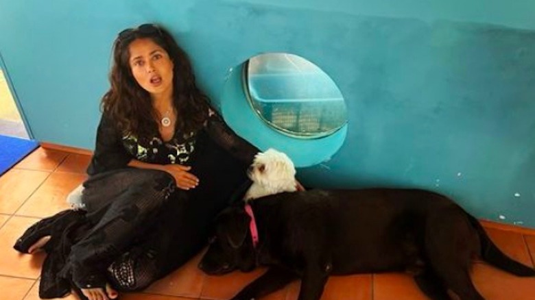 Salma Hayek and dogs