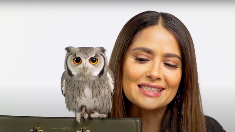 Salma Hayek and pet owl