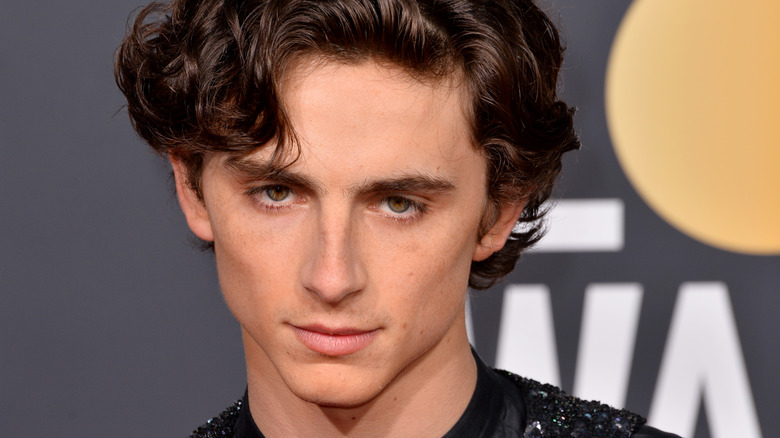 Timothée Chalamet at 2019 Golden Globe Awards