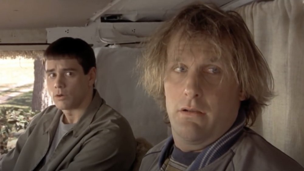 Jim Carrey and Jeff Daniels screengrab