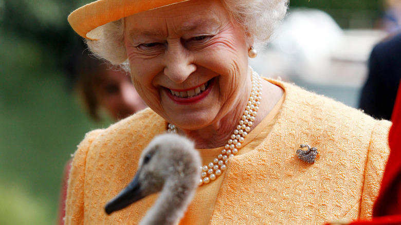 Queen Elizabeth II with a swan