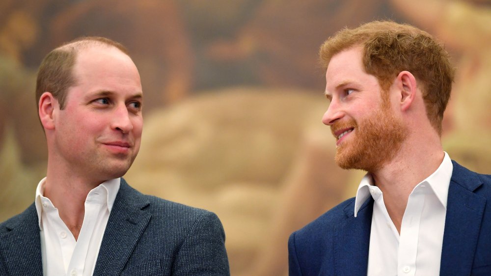 Prince William and Prince Harry