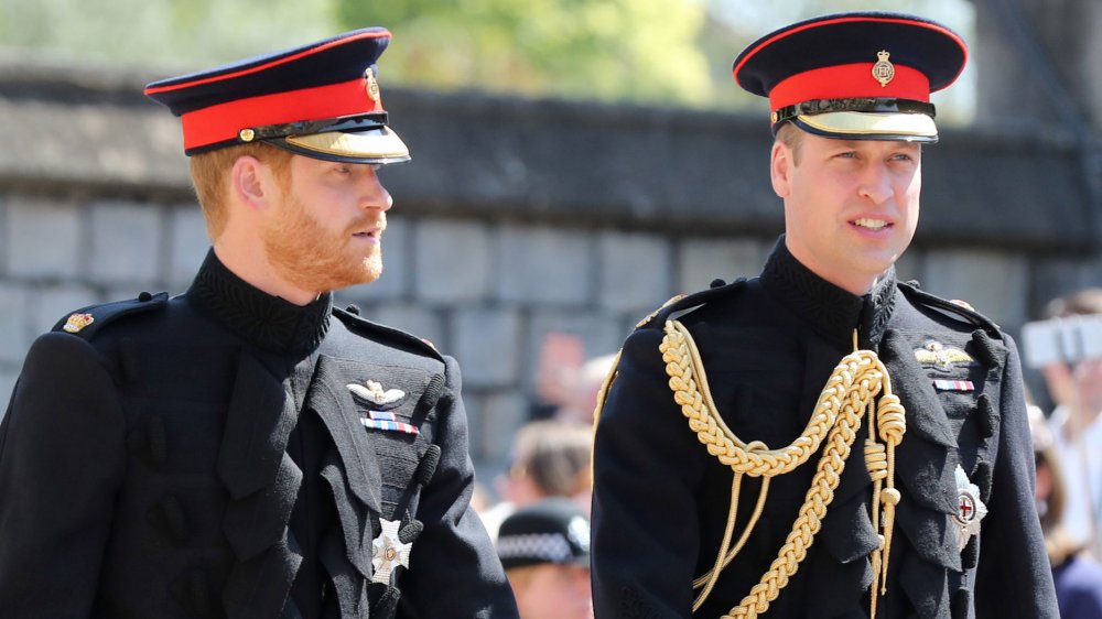 Prince Harry and Prince William