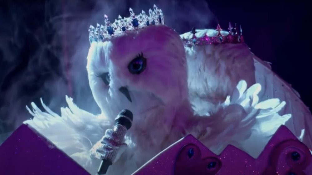 Snow Owls on the Masked Singer