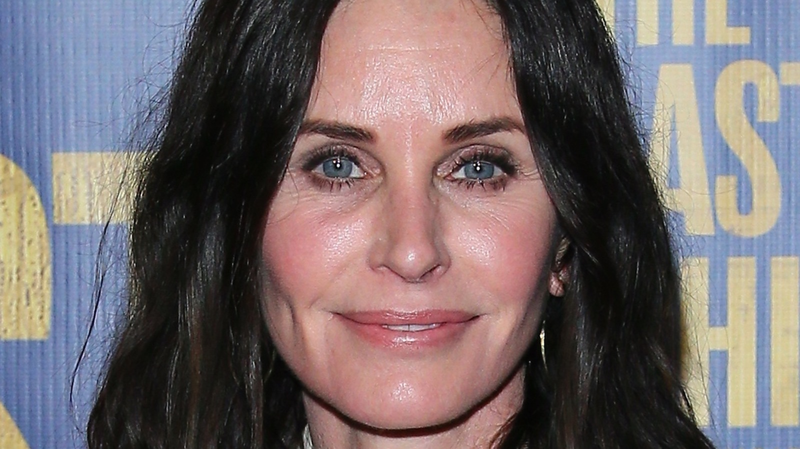 courteney cox he man