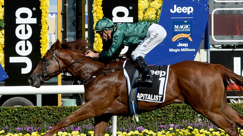 Blake Shinn riding a horse