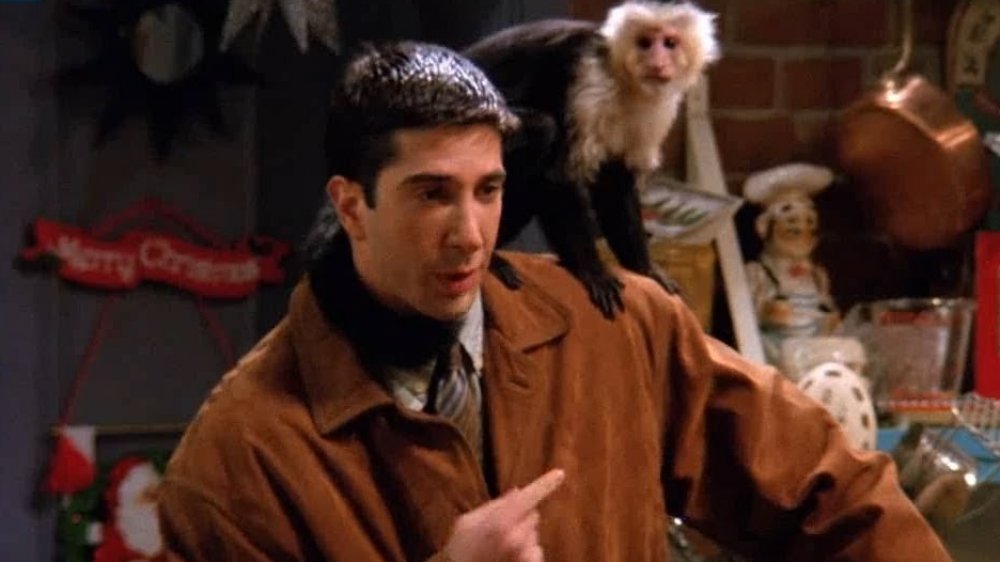 David Schwimmer, Marcel the monkey on Friends