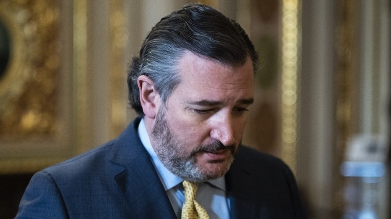 Ted Cruz's infamous mullet