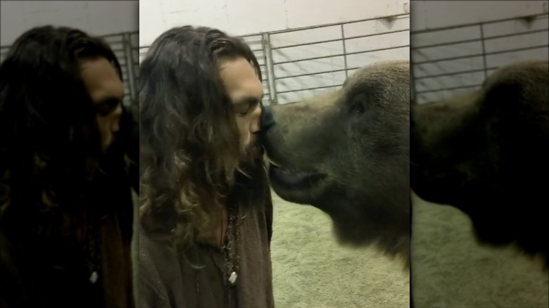 Jason Momoa feeding a bear a cookie