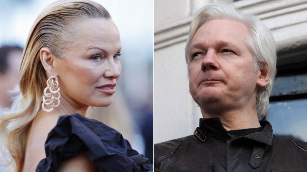 Pamela Anderson, Julian Assange