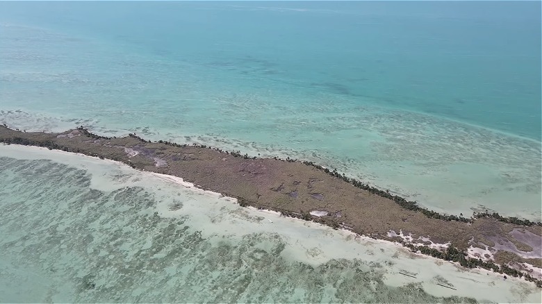 Blackadore Caye island