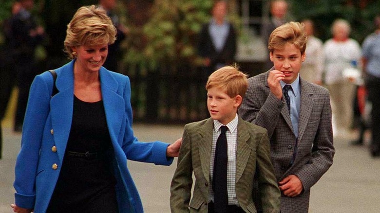 Diana and Charles standing apart