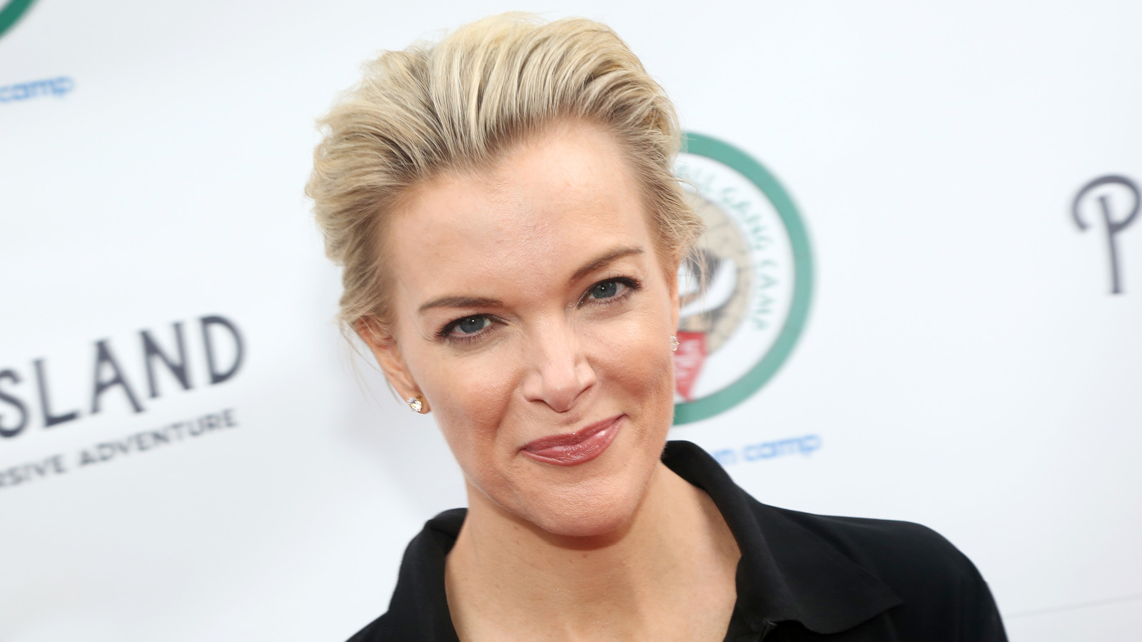 The One Job Megyn Kelly Might Never Do Again