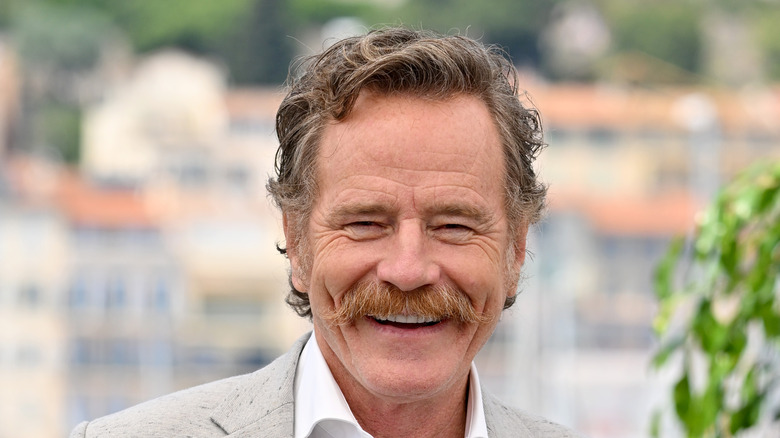 Bryan Cranston mustache