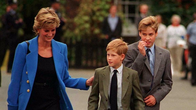 Diana with William and Harry