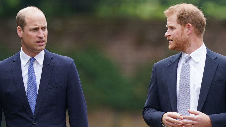 Prince Wiiliam and Prince Harry talking