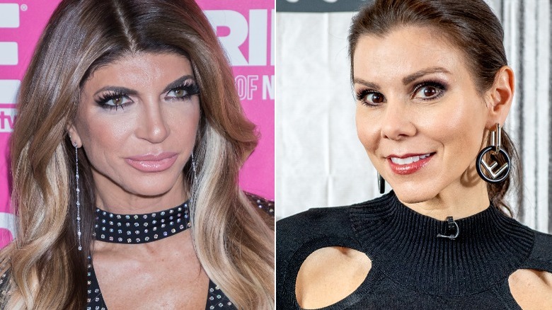 'Real Housewives' stars Teresa Giudice and Heather Dubrow smiling