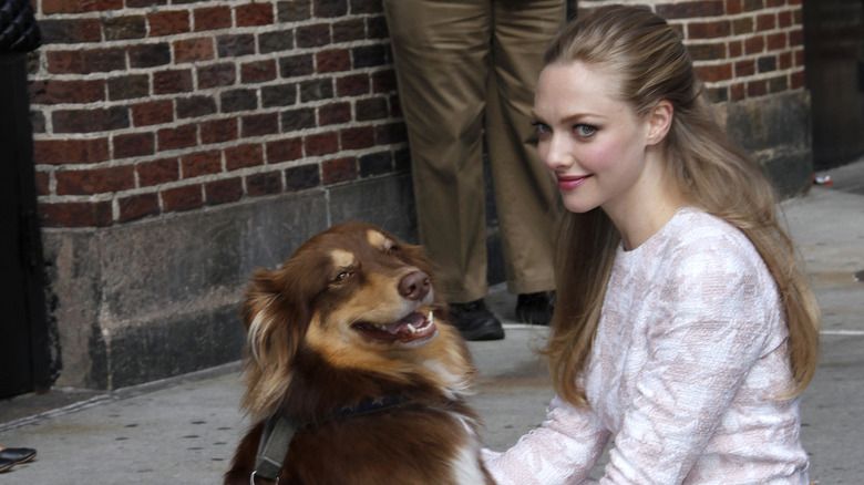 Amanda Seyfried posing with a dog