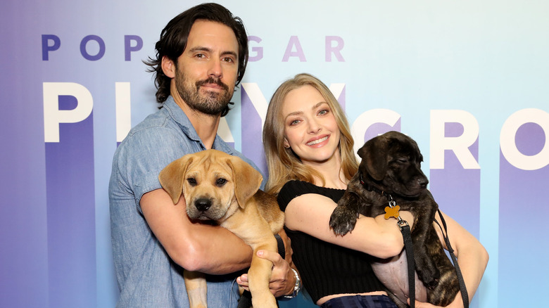 Milo Ventimigilia and Amanda Seyfried posing with dogs