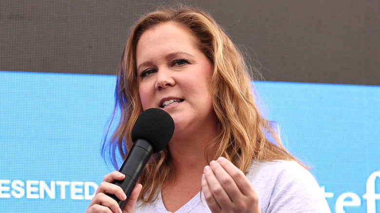 The Real Reason Amy Schumer Underwent Surgery 