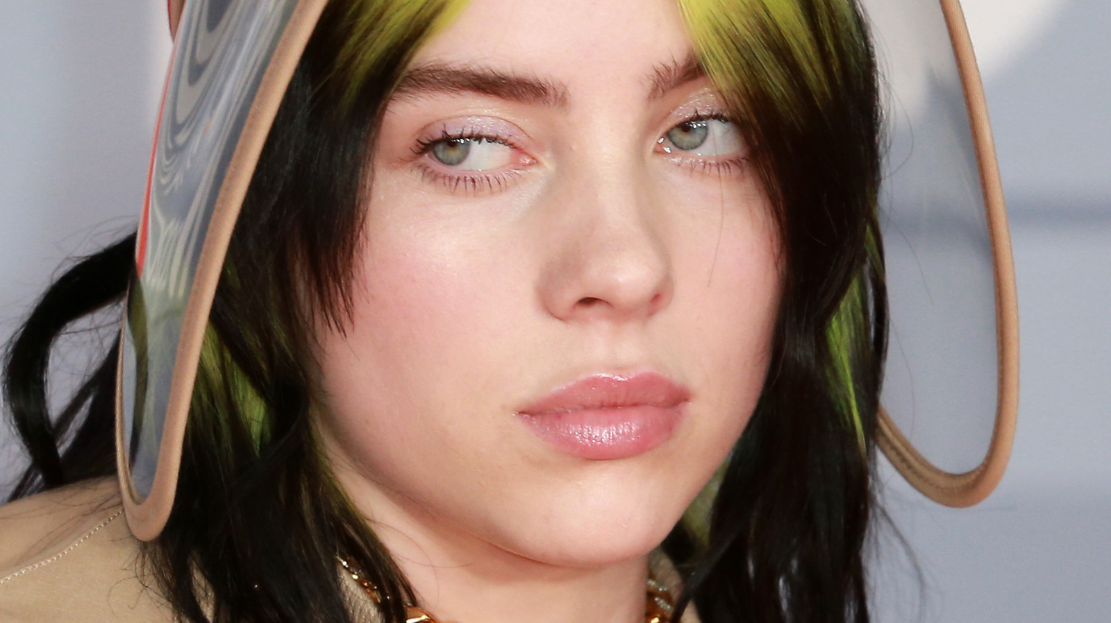 The Real Reason Billie Eilish Feels Ashamed And Embarrassed 0638