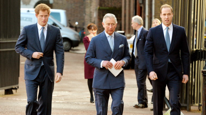 Prince Charles and sons