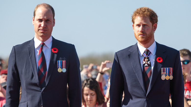 Prince William and Prince Harry