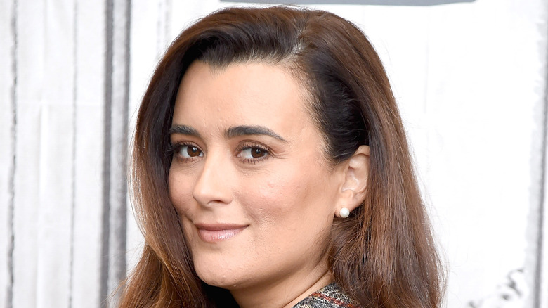 Cote de Pablo with slight smirk