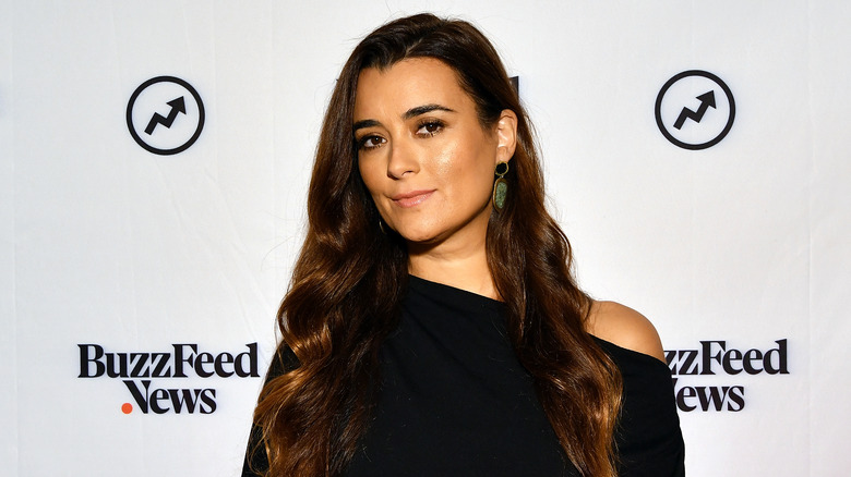 Cote de Pablo posing