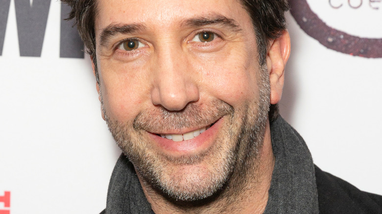 David Schwimmer on the red carpet