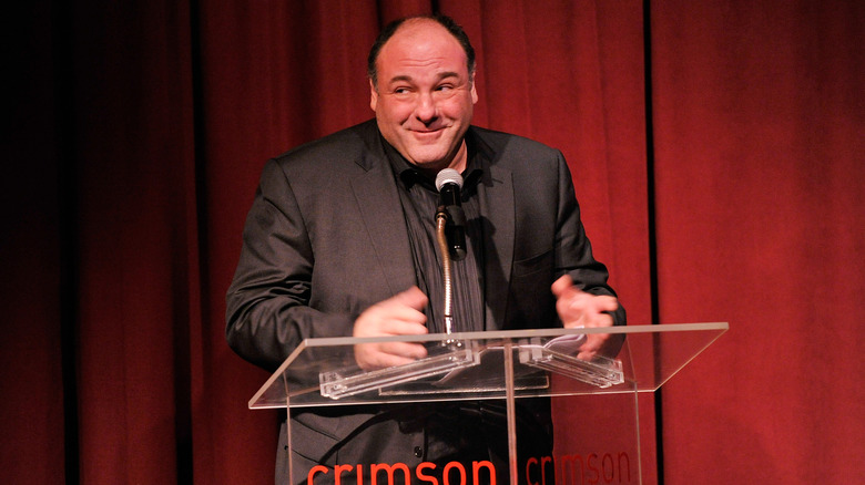 James Gandolfini speaking at an event