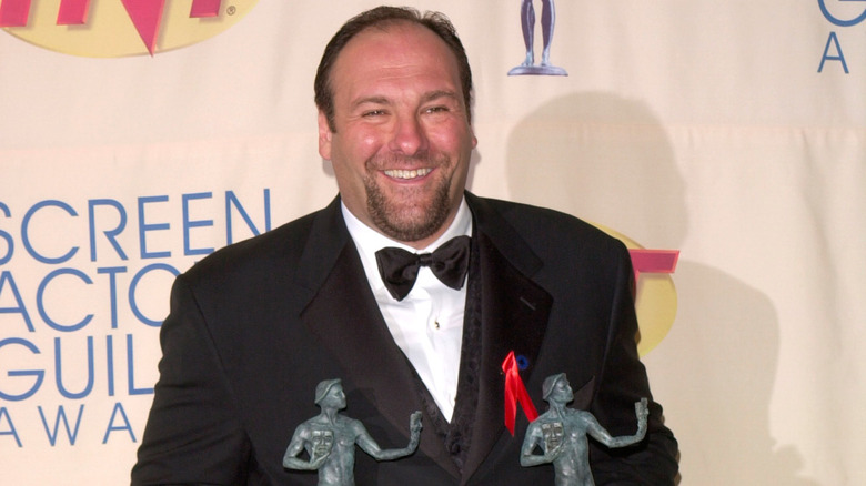 James Gandolfini holding awards