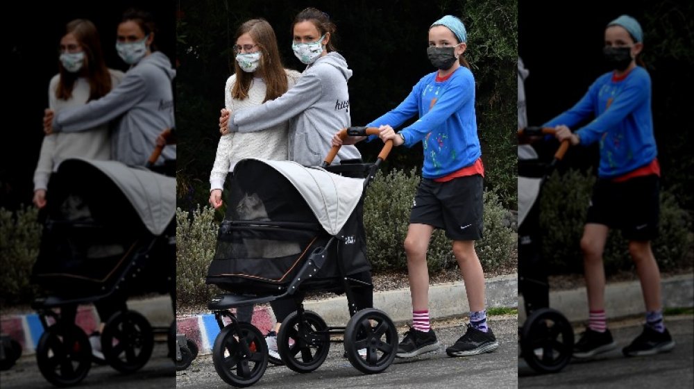 The Real Reason Jennifer Garner Takes Her Cat For Walks In A Stroller