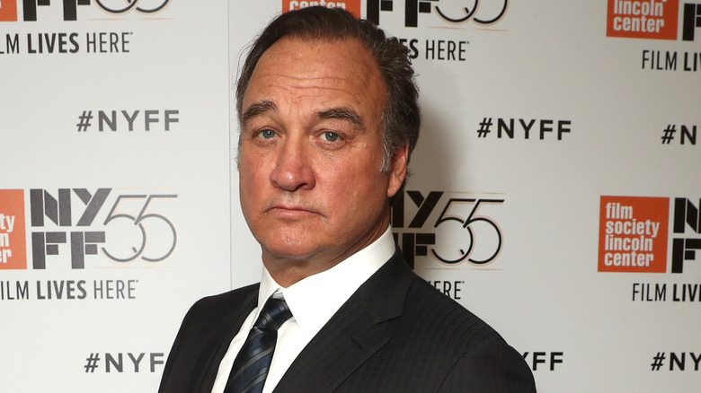 Jim Belushi wearing suit with serious expression