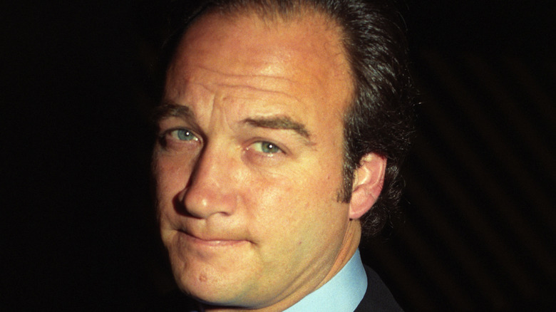 Jim Belushi 1997 serious