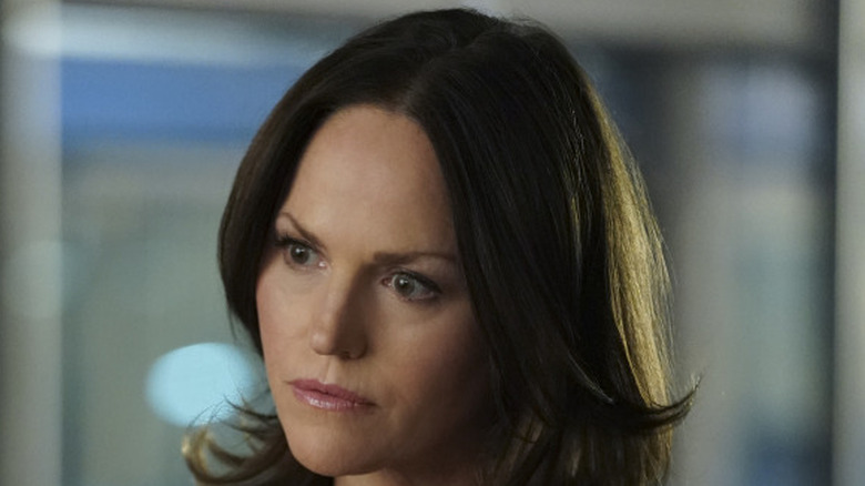 Jorja Fox as Sara Sidle