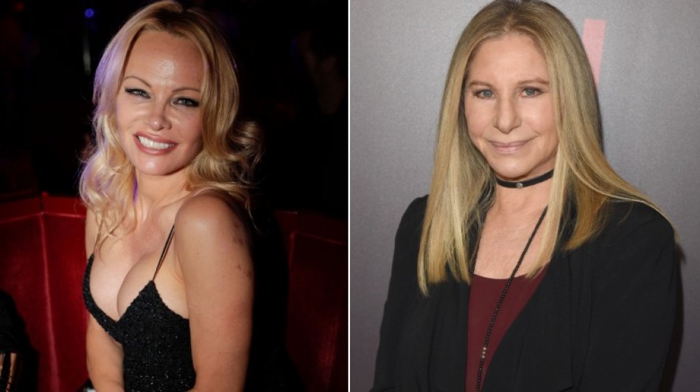 Pamela Anderson, Barbra Streisand