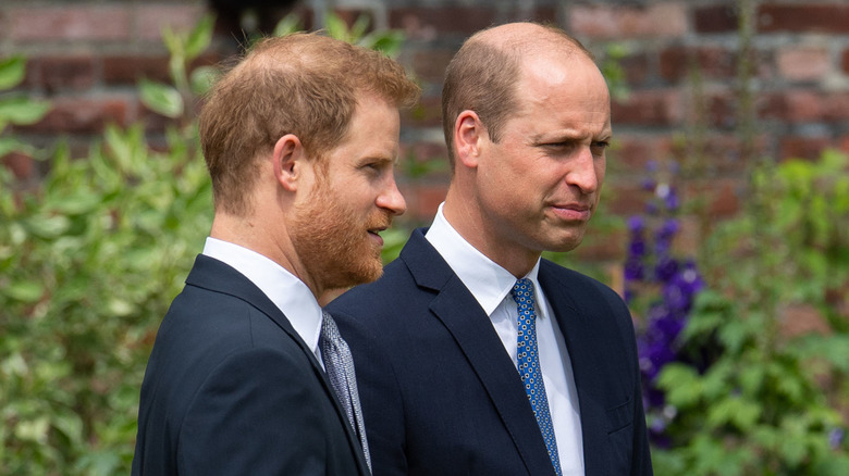 Harry and William at The Sunken Garden