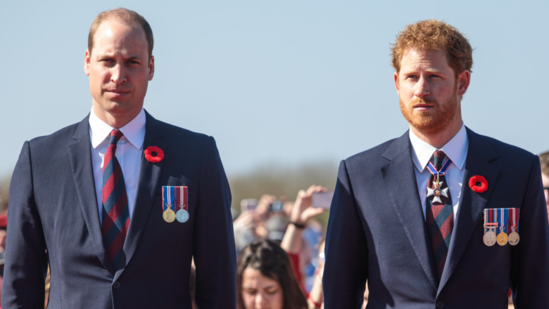 Prince William and Prince Harry staring with serious expressions