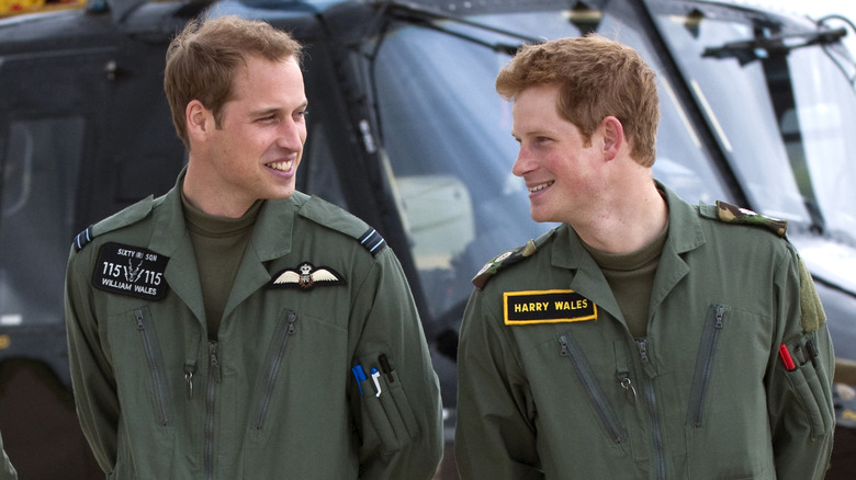 Prince William and Prince Harry in military uniforms in 2009.