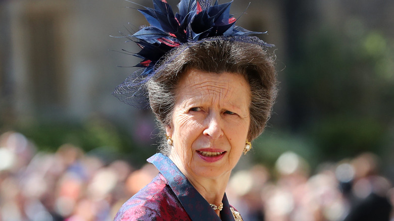 Princess Anne fascinator