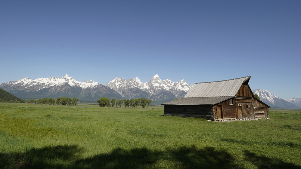 Grand Teton barn on sprawling field against mountain backdrop in Wyoming