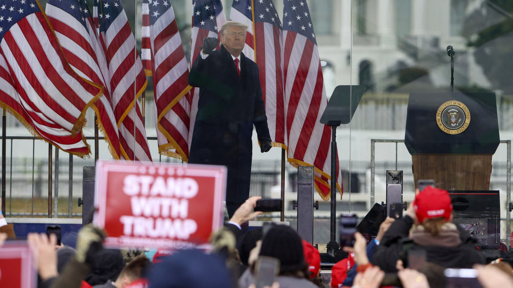 Donald Trump at the Stop the Steal Rally