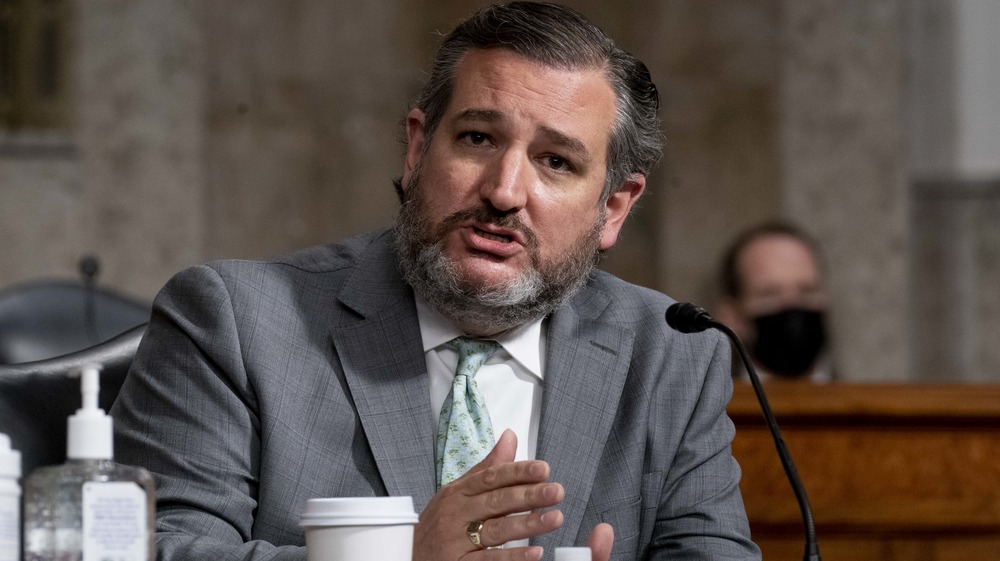 Ted Cruz speaks during a Homeland Security and Governmental Affairs and Senate Rules and Administration joint hearing in February 2021