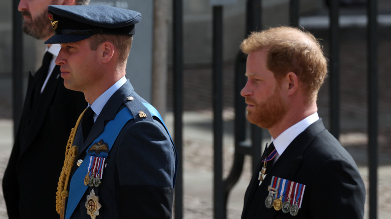 Prince William and Prince Harry